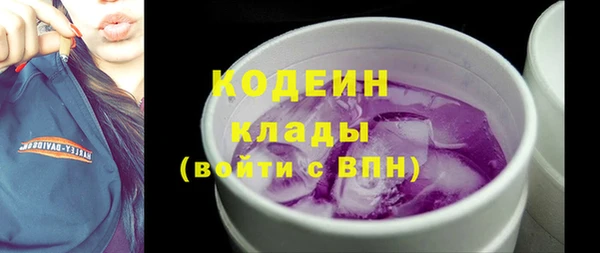 гашик Лабытнанги