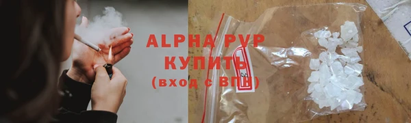 гашик Лабытнанги
