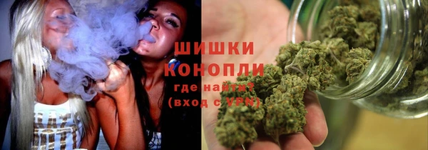 гашик Лагань